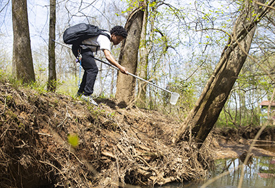 student beside creek taking water sample