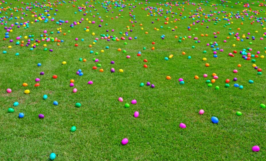 egg hunt
