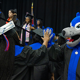 沙巴官网 student high-fiving Wolfie at graduation. 