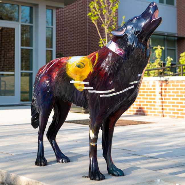 Photography of wolf statue on 沙巴官网 campus