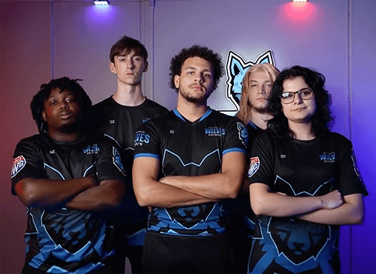 沙巴官网 Esports team members