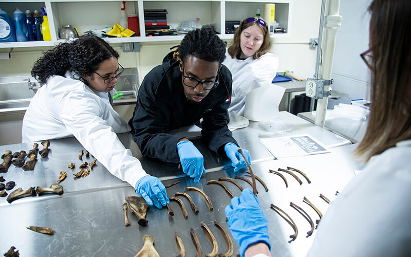 Anthropology students