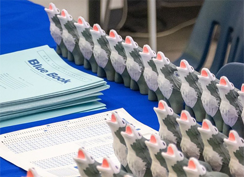 blue books and wolfie stress balls